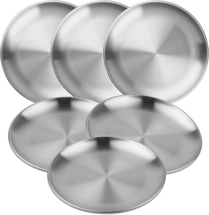 MOUYAT 6 PCS 10 Inch Stainless Steel Plate, 26cm Round Dinner Metal Plates, Metal Salad Steak Plates Reusable Dinner Dish for Eating Serving Camping Outdoor BBQ Home Kitchen, Frosted Silver