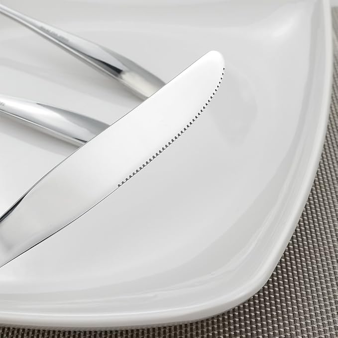 Cand 60-Piece Stainless Steel Flatware Set, Service for 12