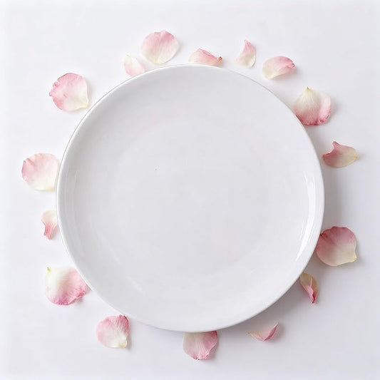 Small Dessert Plates Set of 1, Ceramic White Appetizer Plates 7.7 Inch, Mini Porcelain Serving Plate for Cake, Bread, Salad, Snack,White,8 inches