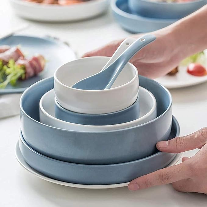 Elegant Dishes Plate Bowl Set,16 Pieces Dinnerware Set White and Blue Ceramic Tableware Set Service for 4 People