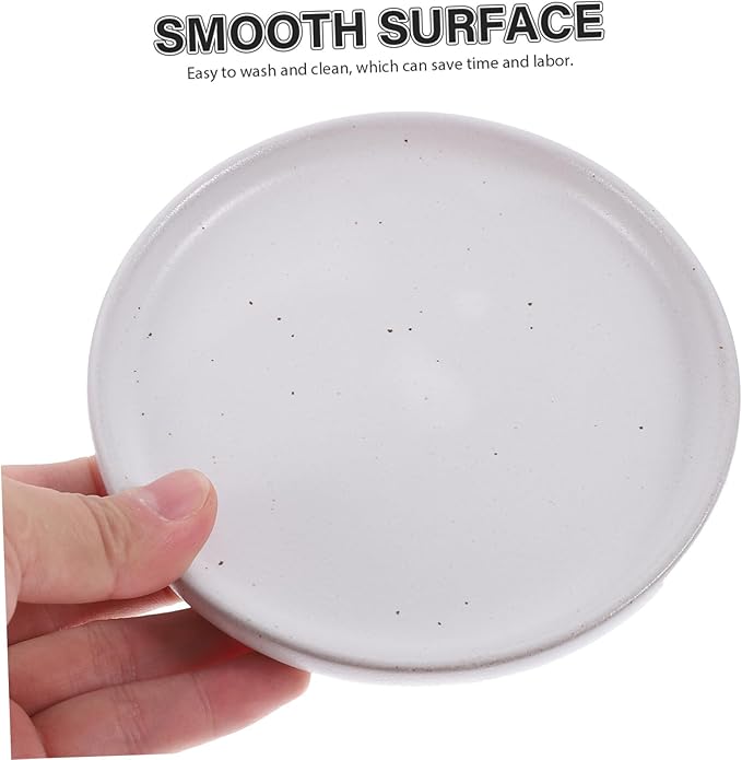 PRETYZOOM Sushi Dish Decorative Dessert Plate Vintage Ceramic Food Serving Plate for Appetizers and Snacks Design for Restaurants and Parties
