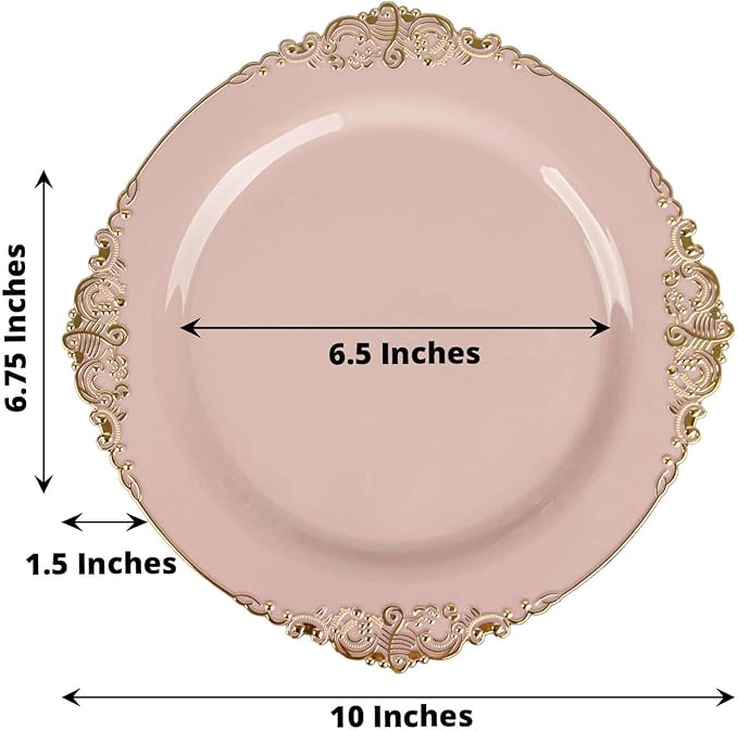 10" Dinner Plates -Set of 30 - Plastic Blush Round Baroque Disposable Chargers Leaf Embossed Rim, Ideal for Dinner Party Wedding Bulk Events
