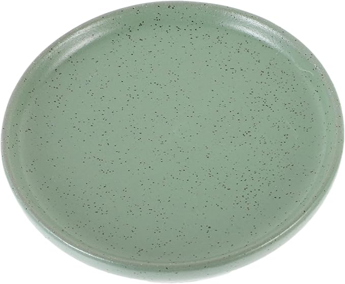 Ceramic Serving Plate Vintage Style Snack Dish Functional Appetizer Plate for Fruits Dips Easy to Clean for Home Dining Catering