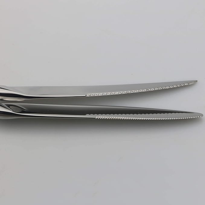 18/10 Stainless Steel Flatware Set, Serrated Steak Knife, Mirror Polishing Silver, Service for 1