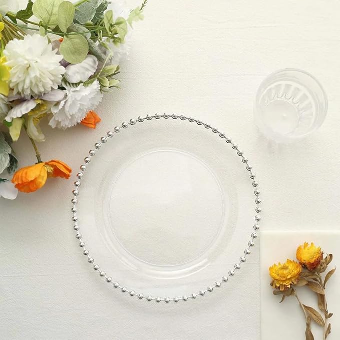 Efavormart 10 Pack | 8" Clear/Silver Beaded Rim Plastic Dinner Plates, Disposable Round Party Plates