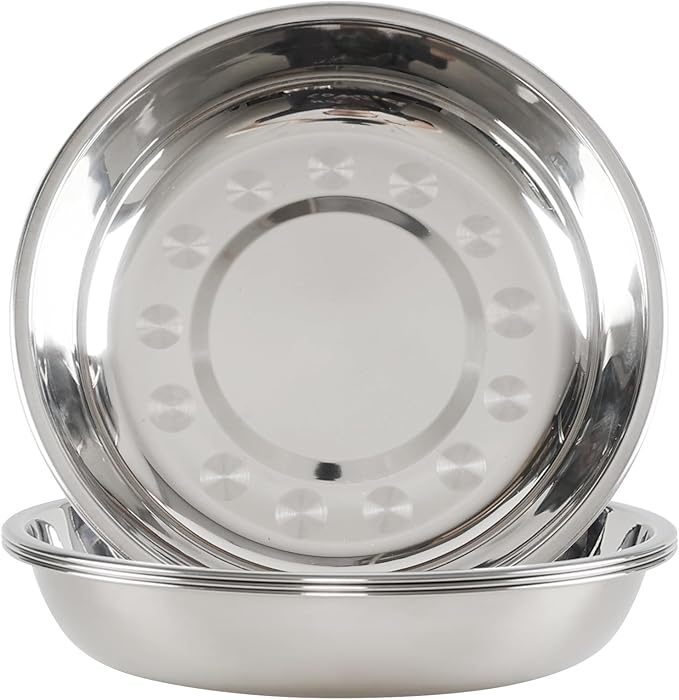 Stainless Steel Dessert Appetizer Plates, Round Lunch Plates, Small Serving Camping Salad Plate for Outdoor Camping, Pack of 4