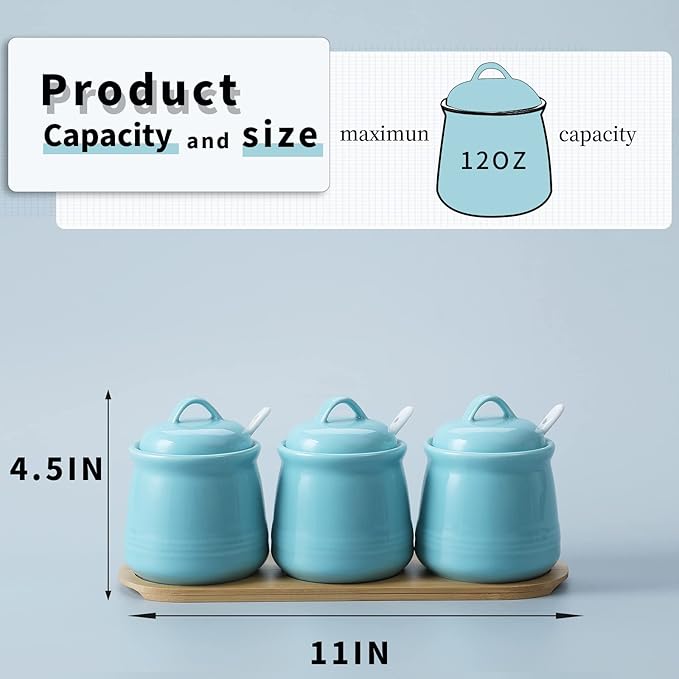 HAOTOP Porcelain Condiment Jar 3 Pack Set with Tray, 12 Ounces Turquoise