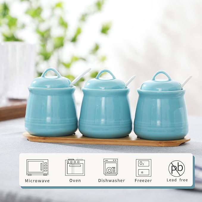 HAOTOP Porcelain Condiment Jar 3 Pack Set with Tray, 12 Ounces Turquoise