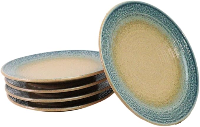 Ebros Gift Artistic Blue River Ao Nagashi Collection Dinnerware Serveware Kitchenware Set Asian Japanese Restaurant Supply (Pack Of 5 Large Round Dinner Plates 10" D)
