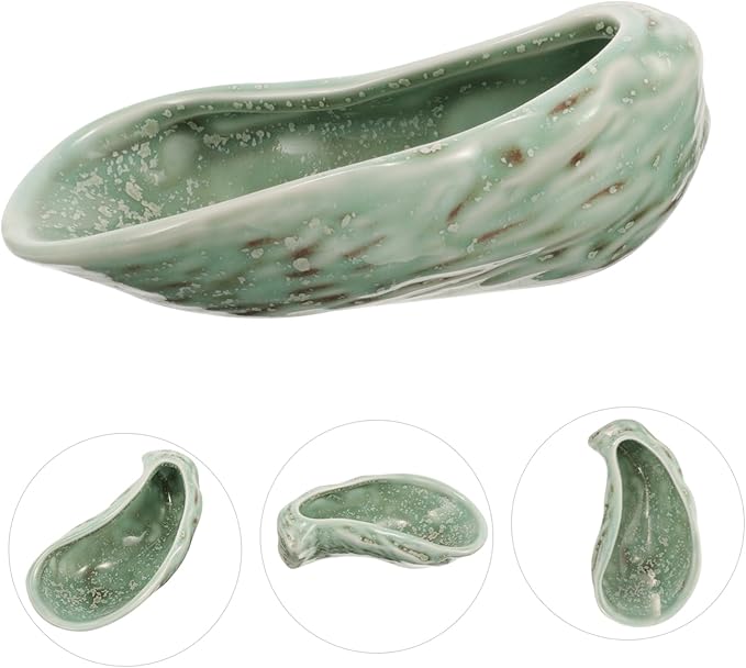 Elegant Ceramic Plates Oyster Shell Design Food Serving Dinnerware Versatile