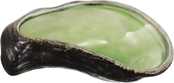 Ciieeo Ceramic Oyster Shell Plate Elegant Sushi Serving Dish for Sauces Appetizers Desserts and Caviar Decorative Food Server for Family Gatherings and Celebrations