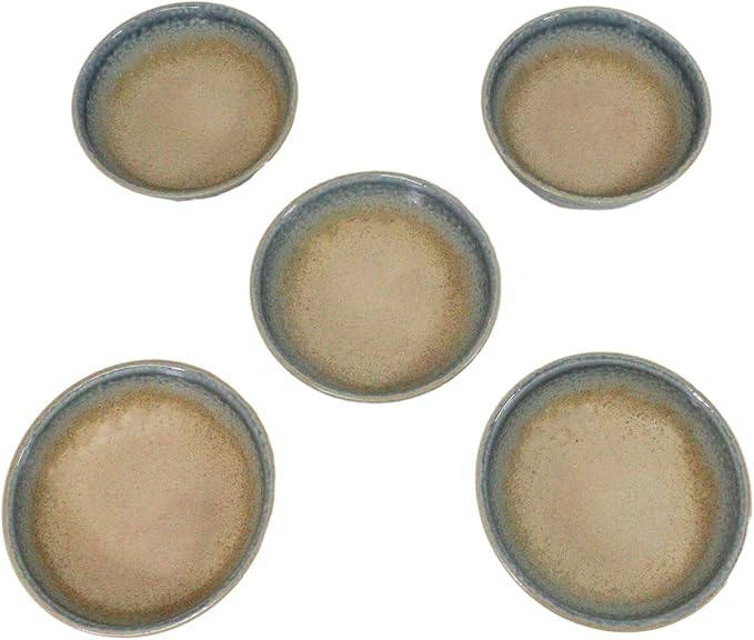 Ebros Gift Artistic Blue River Ao Nagashi Collection Dinnerware Serveware Kitchenware Set Asian Japanese Restaurant Supply (Pack Of 5 Shallow Bowl Deep Plates 10oz)