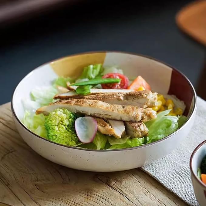 FEELIN Modern Large Dinner Plates Japanese Ceramic Plate Home Dish Plate Rice Bowl Retro Shallow Plate Steak Plate Dinner Plate Soup Bowl Stackable Dinner Plates(Color:C)