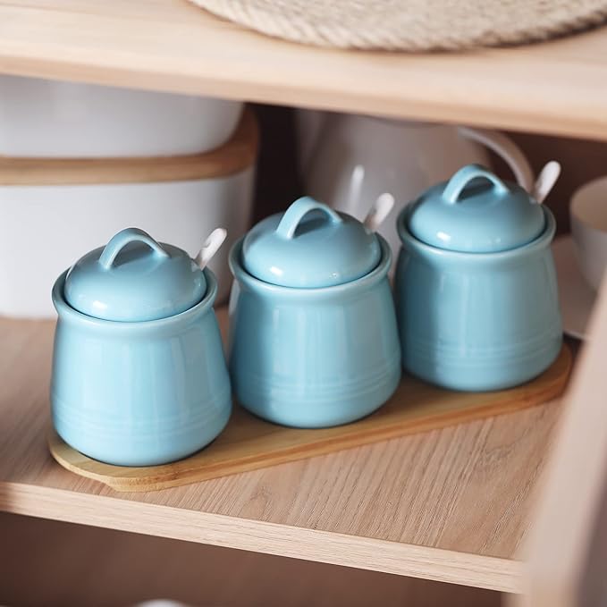 HAOTOP Porcelain Condiment Jar 3 Pack Set with Tray, 12 Ounces Turquoise