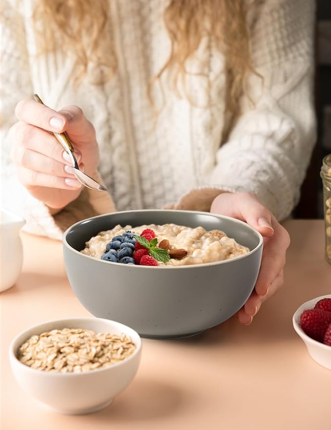 AISBUGUR Cereal Bowl, Ceramic Bowls Set of 4, 26oz Large Soup Bowls for Kitchen Dishwasher & Microwave Safe, Perfect for Cereal, Soup, Oatmeal, Salad, Pasta, Dessert, Rice, Matte Gray