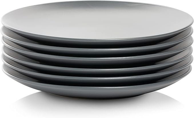 10 Strawberry Street Wazee Matte 8.25" Coupe Salad Plate, Set of 6, Charcoal Gray