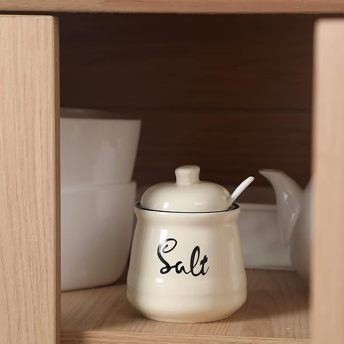 HAOTOP Farmhouse Porcelain Salt Bowl with Lid and Spoon 12oz,Easy to Clean (Beige)
