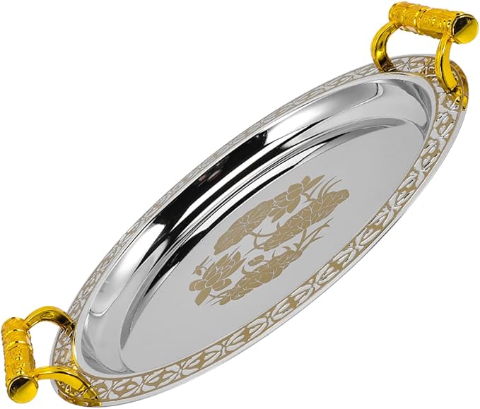 Stainless Plastic Multi-use Serving Tray Elegant Decorative Snack Plate