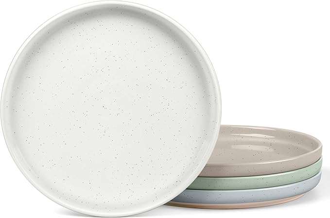 LIANYU Dinner Plates Set of 4, 10.5 Inch Large & Round Porcelain Dinner Plates, Stoneware Dishes Set for Serving Salad, Dessert, Appetizer, Oven, Microwave & Dishwasher Safe, Stackable, Four-color