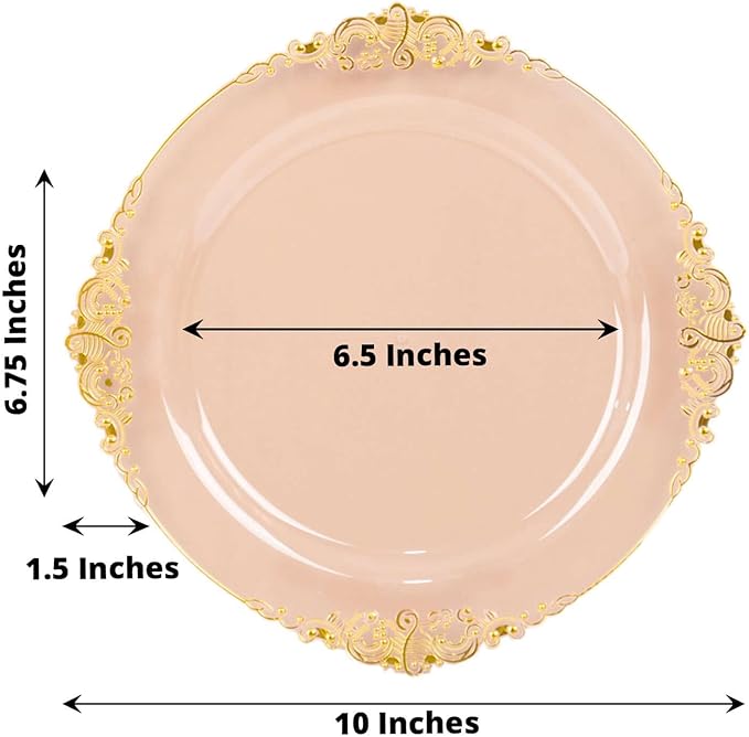 10" Dinner Plates -Set of 30 - Plastic Transparent Blush Round Baroque Disposable Chargers Leaf Embossed Rim, Ideal for Dinner Party Wedding Bulk Events