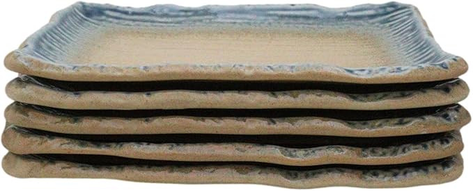 Ebros Gift Artistic Blue River Ao Nagashi Collection Dinnerware Serveware Kitchenware Set Asian Japanese Restaurant Supply (Pack Of 5 Rectangular Wavy Sushi Plates)