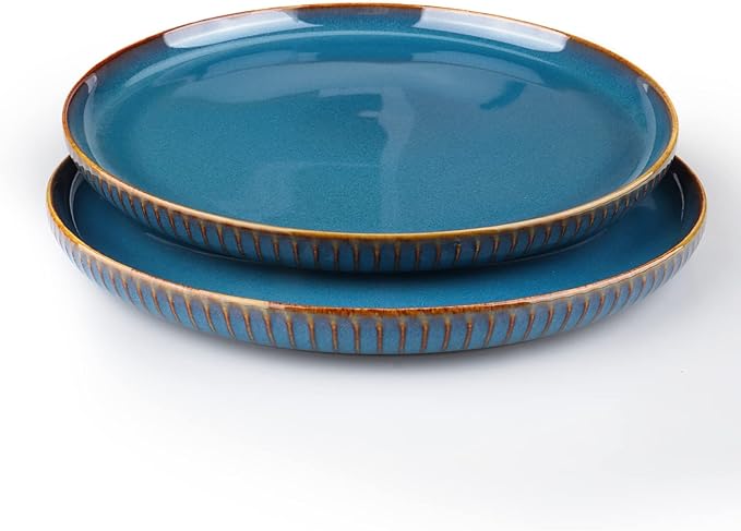 CSYY 2 Pack Large Dinner Plates, 10.5 Inch Blue Porcelain Salad Plates Round Ceramic Serving Dining Plate Set for Dinner Pasta Fruit Salad