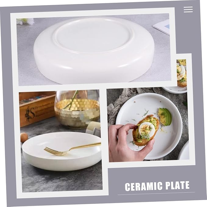 PRETYZOOM Delicate Ceramic Dinner Plate Small Sushi Plate Pasta Steak Salad Oven Freezer Safe White