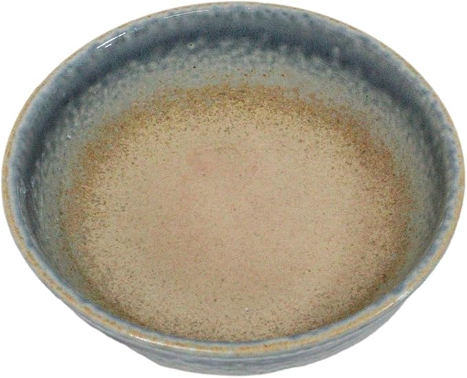 Ebros Gift Artistic Blue River Ao Nagashi Collection Dinnerware Serveware Kitchenware Set Asian Japanese Restaurant Supply (Pack Of 5 Shallow Bowl Deep Plates 10oz)