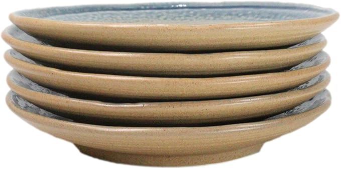 Ebros Gift Artistic Blue River Ao Nagashi Collection Dinnerware Serveware Kitchenware Set Asian Japanese Restaurant Supply (Pack Of 5 Round Dinner Plates 8.75" D)