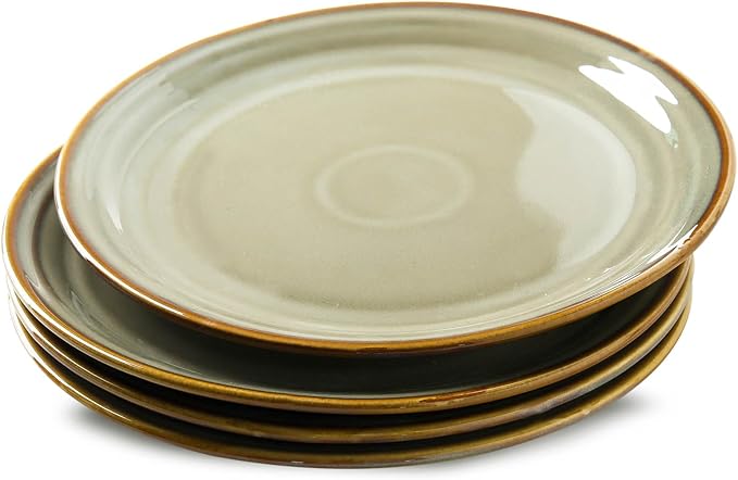 HASENSE Porcelain Dinnerware Set of 4, 10 Inch Ceramic Dinner Plates Set of 4 for Kitchen Counter, Large ceramic Dishes Set for Steak, Salad and Dinner, Microwave and Dishwasher Safe, Brown