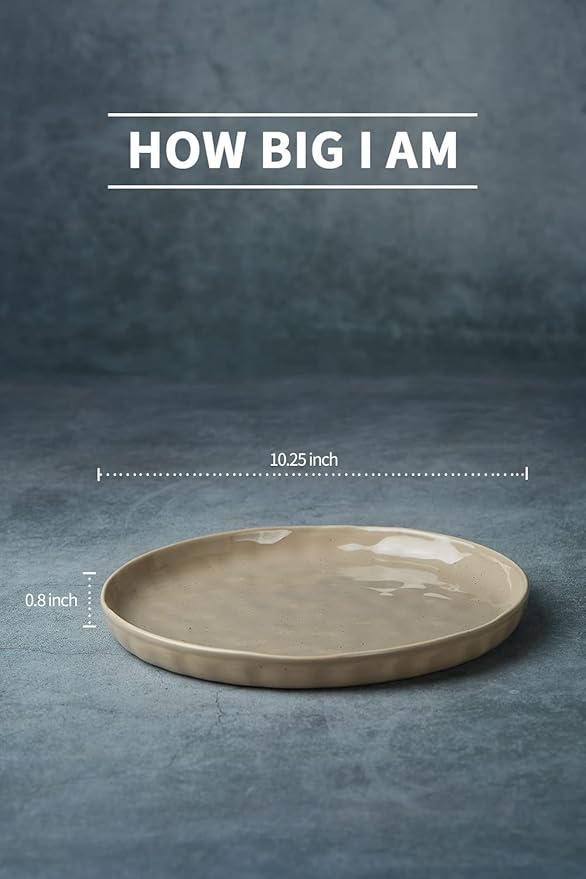 famiware Mars 6 Pieces Dinner Plates, 10.25 inch Plate Set, Scratch Resistant, Stoneware Dinnerware, Kitchen Modern Rustic Serving Dishes, Cinnamon Brown