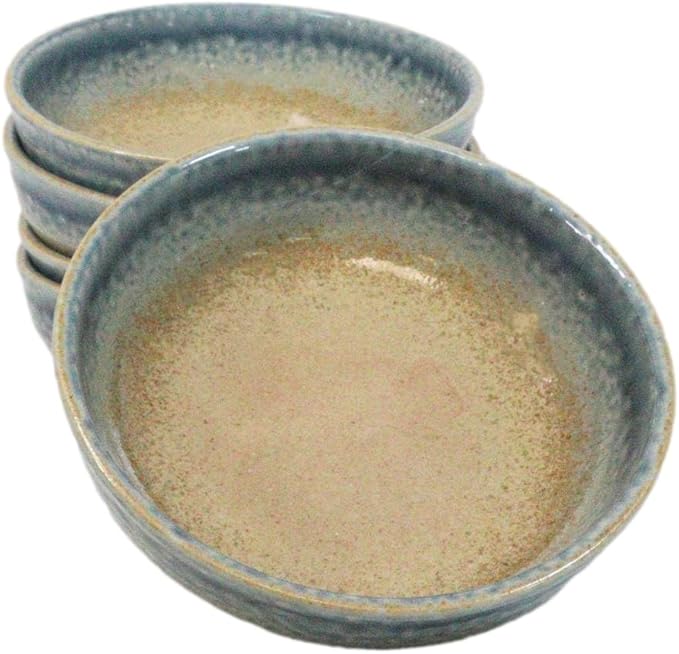 Ebros Gift Artistic Blue River Ao Nagashi Collection Dinnerware Serveware Kitchenware Set Asian Japanese Restaurant Supply (Pack Of 5 Shallow Bowl Deep Plates 10oz)