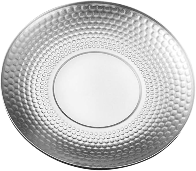 LIFKOME Stainless Steel Fruit Tray Multi-functional Serving Platter for Bbq Snacks Desserts