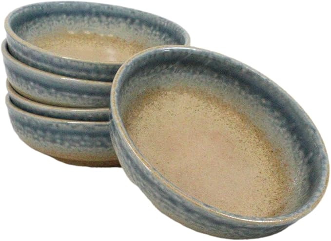 Ebros Gift Artistic Blue River Ao Nagashi Collection Dinnerware Serveware Kitchenware Set Asian Japanese Restaurant Supply (Pack Of 5 Shallow Bowl Deep Plates 10oz)