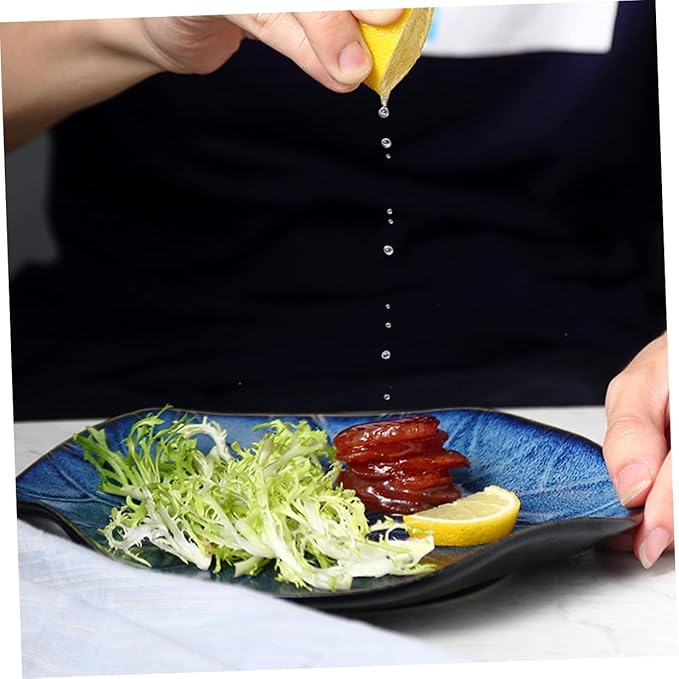 Ceramic Plate for Steak Pasta Western Food Decorative Dish Easy to Clean