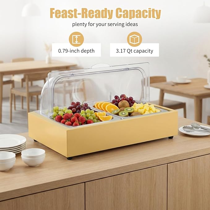 Ice Food Serving Display Tray, 3L 2 Pan Spice Display Salad Dressing Cooler Food Dishes Display Plate Case w/Clear Roll Top Cover for Outdoor Buffets Parties & Restaurant (Gold)