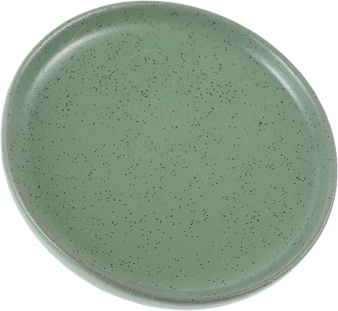 Vintage Ceramic Serving Plate Appetizer Dish Reusable Snack Tray for Dried Fruits Desserts Sushi Stylish Catering Plate for Home Parties
