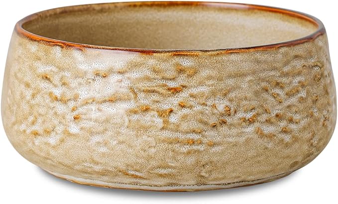 Stone by Mercer Project SHOSAI 16-Piece Stoneware Dinnerware Set, Plates and Bowls Set, Modern Dishware set fo 4, Sand