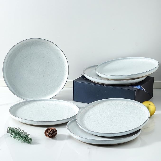 HASENSE Ceramic Dinner Plate Set–10 Inch Premium Proclaim Dishes, 4 Piece Greyish White Plates Set Ideal for Serving Noodles,Pasta or Desserts, Dishwasher Safe and Microwave Safe for Daily Dining
