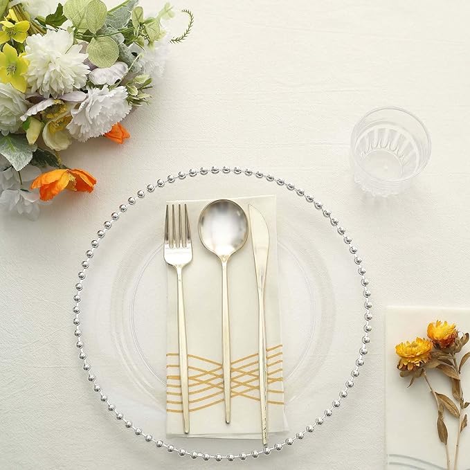 Efavormart 10 Pack | 10" Clear/Silver Beaded Rim Plastic Dinner Plates, Disposable Round Party Plates