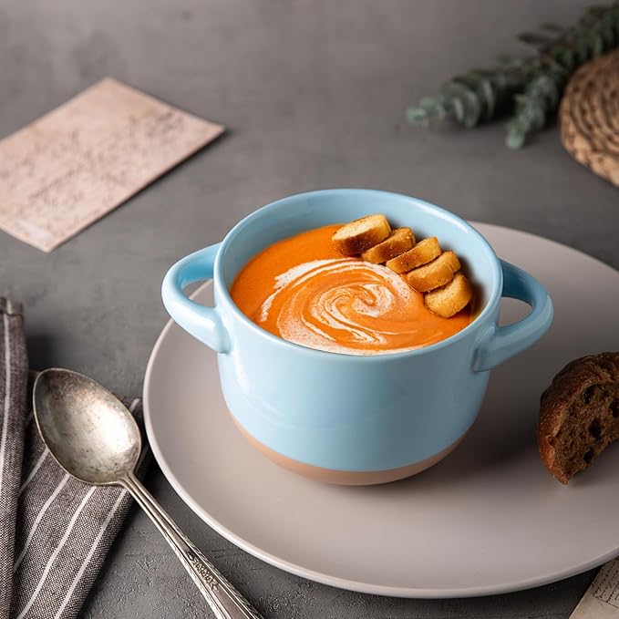 AmorArc 24 Ounces Soup Bowls with Large Handles and Lids, Stoneware Bowls Set of 2 for Soup, Cereal, Stew, Noodle, Colourful Ceramic Kitchen Bowls, Microwave&Dishwasher Safe, Blue&Pink