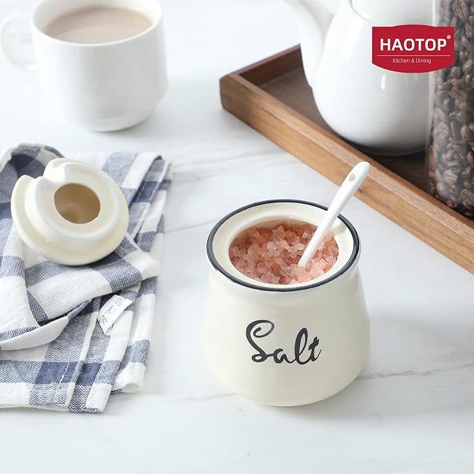 HAOTOP Farmhouse Porcelain Salt Bowl with Lid and Spoon 12oz,Easy to Clean (Beige)