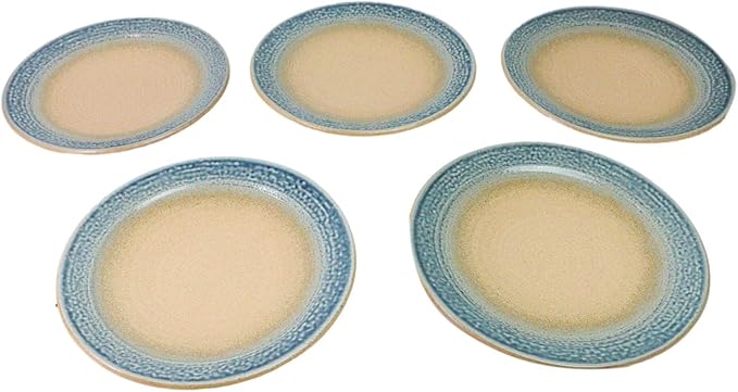 Ebros Gift Artistic Blue River Ao Nagashi Collection Dinnerware Serveware Kitchenware Set Asian Japanese Restaurant Supply (Pack Of 5 Large Round Dinner Plates 10" D)