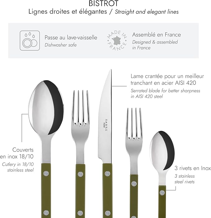 SABRE PARIS - 5-Piece Flatware Set - Bistrot Collection - Knife, Fork, Soup Spoon, Teaspoon & Dessert Fork - Stainless Steel & Nylon - Dishwasher Safe - Fern Green - Brilliant Finish