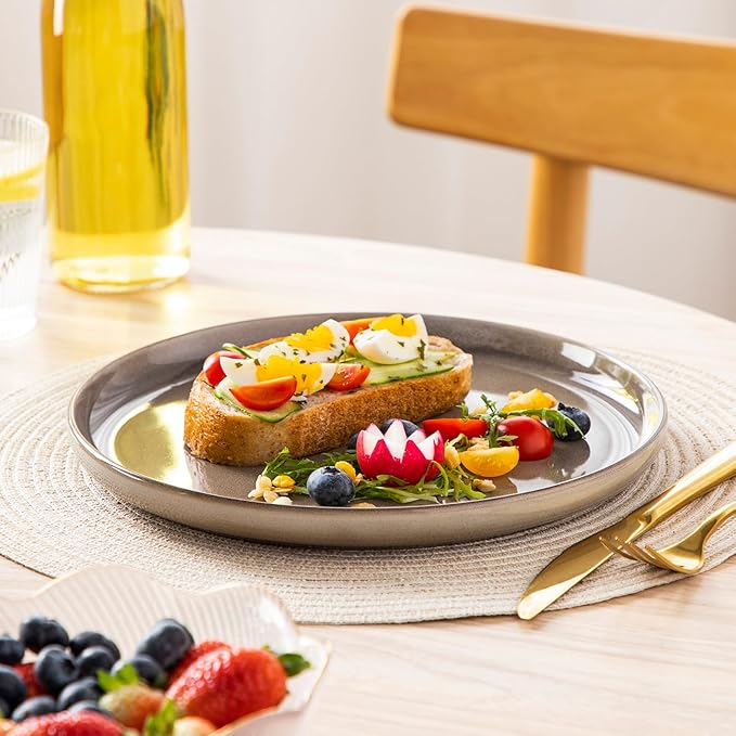 vancasso PLAYA Dinner Plates Set of 6, 10.25 Inch Ceramic Plates, Microwave, Oven and Dishwasher Safe Plates, Brown