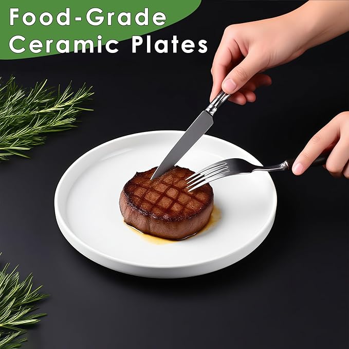 10 Inch White Dinner Plates Set of 6, Ceramic Appetizer Plates, Porcelain Dessert Plate, White Round Salad Plate for Kitchen, Restaurant, Microwave, Oven & Dishwasher Safe, Scratch Resistant