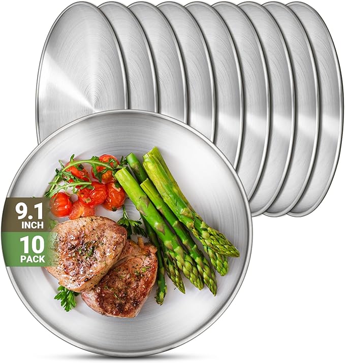 Metal Camping Plates, 10 Pack 9.1 inch 304(18/8) Stainless Steel Plates, Reusable Pizza Food Serving Snack Eating Salad Dishes Round Shatterproof Plate Silver Dinnerware Dinner Oven Safe