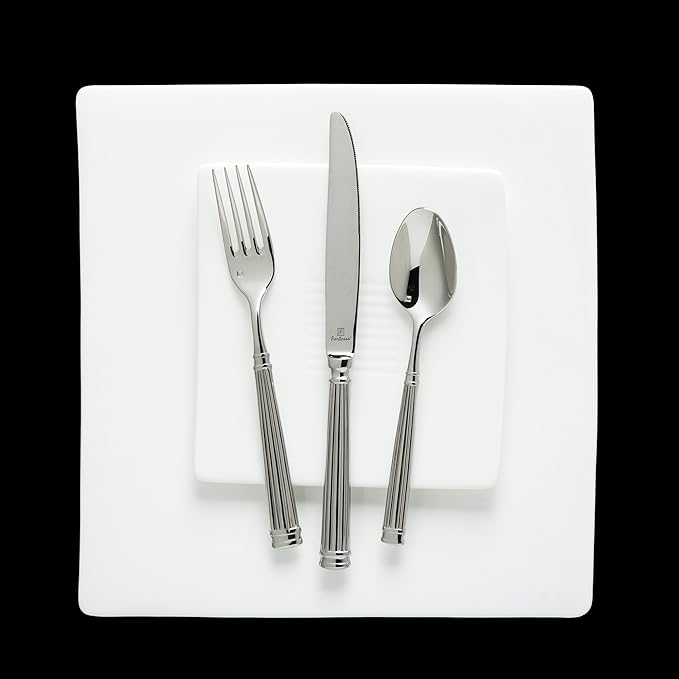 Fortessa Doria 18/10 Stainless Steel Flatware Solid Handle Table Knife, Set of 12