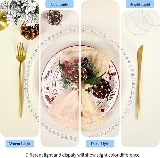 50 Pack Clear Charger Plates with Beaded Rim, 13 Inch Plastic Chargers for Dinner Plates Acrylic Round Tabletop Decoration for Home Kitchen Catering Wedding Table Event Party Dinner (Silver)