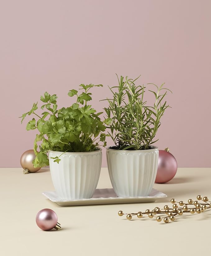 Lenox 896914 French Perle Scallop 3-Piece Herb Pots & Tray Set